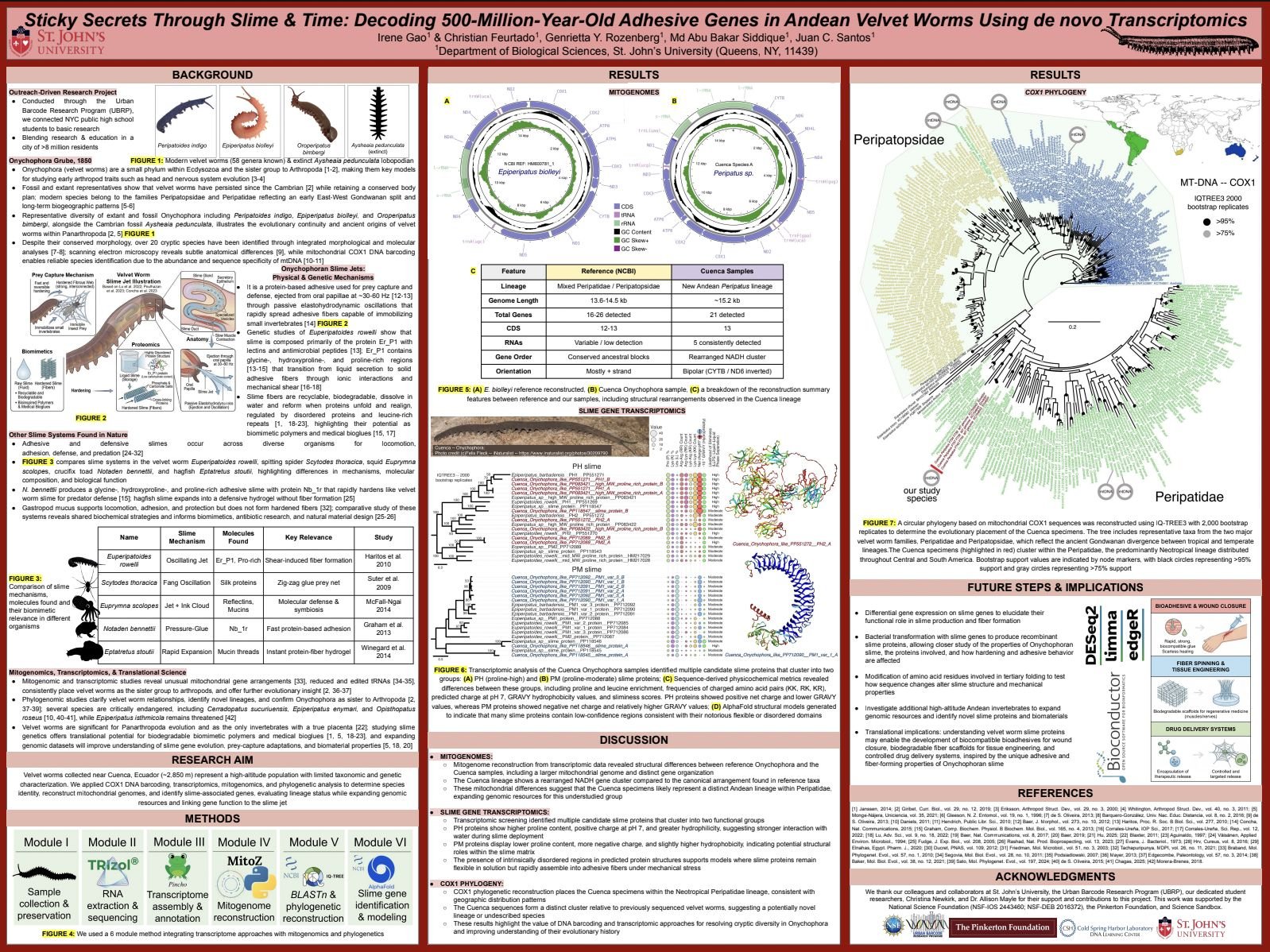 Conference poster on velvet worm adhesive genes and mitogenomes